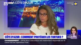 Côte d'Azur: que faire si on assiste à une ponte de tortue?