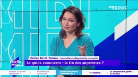 Le quick commerce : la fin des supérettes ? "La bataille pour les petits commerces a été difficile dès les années 60" rappel Celine Revel Dumas.