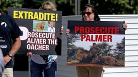 Des manifestants américains réclament des poursuites contre Walter Palmer