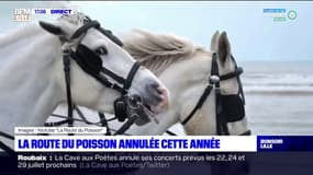 Boulogne-sur-Mer: La Route du Poisson annulée cette année