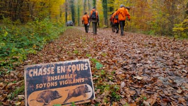 Des chasseurs à Hirsingue (Haut-Rhin), le 8 novembre 2020 (ILLUSTRATION)