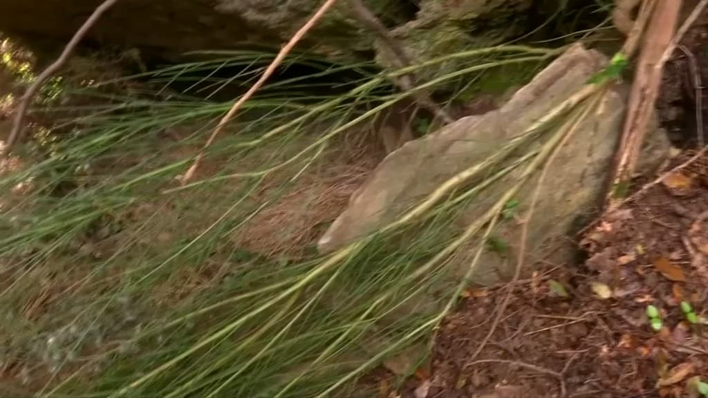 Double meurtre dans les Cévennes: comment Valentin M. a échappé aux gendarmes pendant 4 jours
Double meurtre dans les Cévennes: comment Valentin M. a échappé aux gendarmes pendant 4 jours