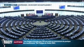 Elections européennes: où en sont les "gilets jaunes"?