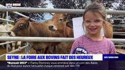Seyne-les-Alpes: retour sur la 42e édition de la foire aux bovins