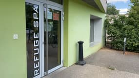 Depuis le début de l'année, le refuge SPA de Strasbourg a déjà recueilli plus de 700 animaux abandonnés.