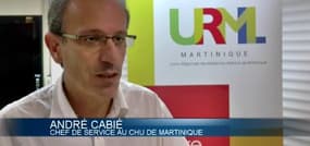 Le virus Zika se propage en Martinique