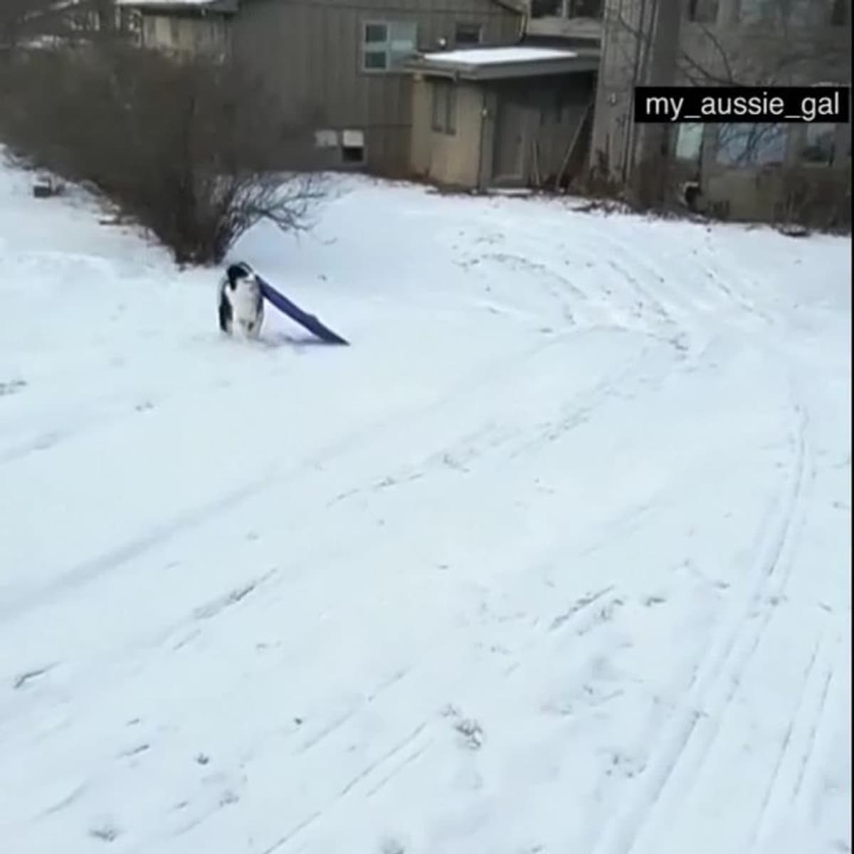 placeholder video