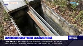 Alpes-Maritimes: Lantosque souffre de la sécheresse