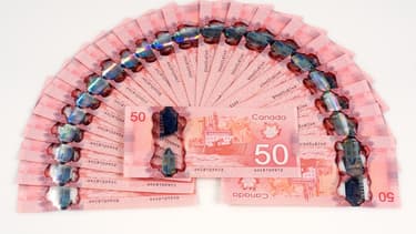 Le gouvernement québécois ne précise pas le montant de l'allocation universelle qui pourrait être versée à ses citoyens. Le parti de gauche, Québec solidaire, souhaite que le revenu minimum garanti atteigne 12.600 dollars canadiens par an.