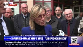 "C'est sans doute une expression du dérèglement climatique", déclare Agnès Panier-Runacher, ministre de la Transition écologique