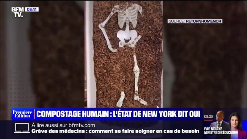 Le choix de Marie - L'état de New-York vient de légaliser le compostage humain