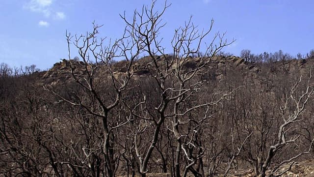 Le massif des Maures (photo d'illustration)