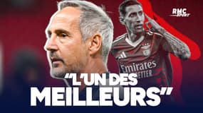 Monaco : "L'un des meilleurs sur les 15 dernières années" Adi Hütter encense Di Maria avant d'affronter le Benfica