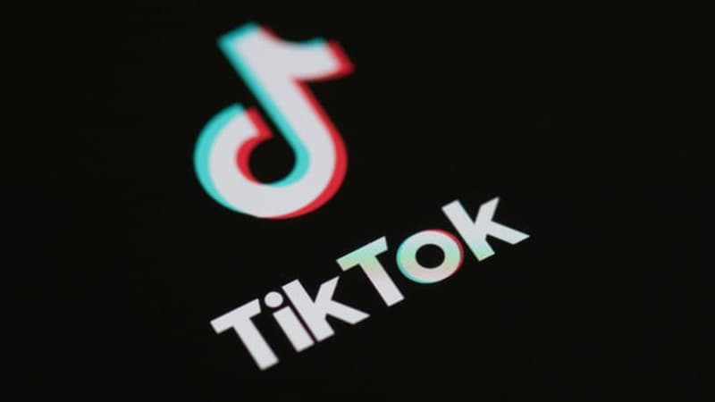 Regarder la vidéo Santé mentale des adolescents: le réseau social Tiktok assigné en justice par sept familles en France