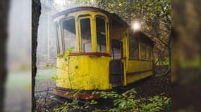 Un tram retrouvé dans une forêt du nord de l'Alsace