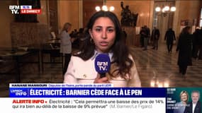 "Ce n'est pas à la hauteur de nos attentes": Hanane Mansouri (UDR) réagit à l'annonce de Michel Barnier de ne pas augmenter les taxes sur l'électricité