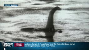 Et si le "monstre du Loch Ness" n'était qu'une... grosse anguille?