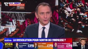 Législatives anticipées: "Nous visons la majorité pour que Jordan Bardella devienne Premier ministre de la France", affirme Laurent Jacobelli (porte-parole du RN à l'Assemblée nationale)