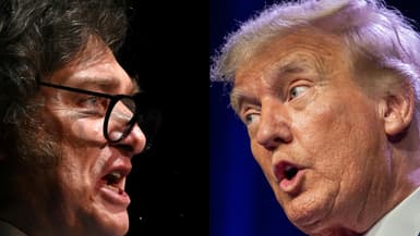 Javier Milei (à gauche) et Donald Trump.