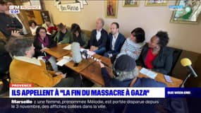 Bouches-du-Rhône: un rassemblement pour demander "la fin du massacre à Gaza"