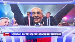 Story 2 : La dynamique Zemmour se confirme - 15/02