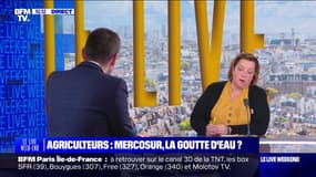 "On est en concurrence déloyale": les agriculteurs opposés au traité UE-Mercosur