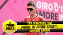 Tour de France : "Toutes les descentes sont dangereuses, ça fait partie de notre sport", concède Barguil