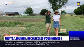 L'été chez nous sur BFM Lyon : cueillir soi-même ses fruits et ses légumes près de Lyon