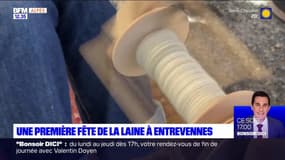 Alpes-de-Haute-Provence: une première fête de la laine à Entrevennes