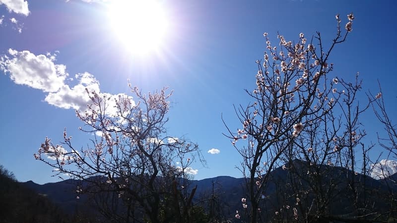 Un soleil estival pour un mois de printemps.