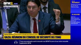 "Pour la première fois depuis 843 jours, je suis au Conseil, sans porter ce pin's au revers de ma veste", déclare l'ambassadeur d'Israël