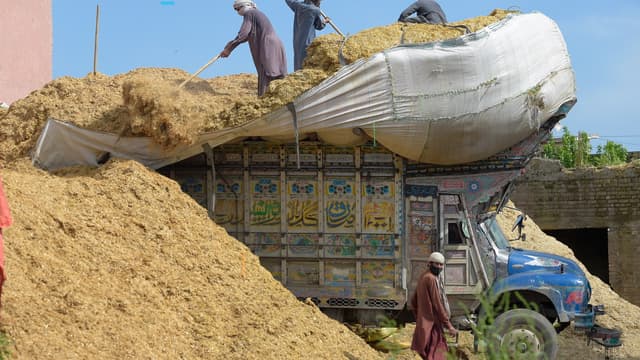 Les plus grands producteurs mondiaux de matières premières agricoles, comme l'Inde, compte réduire leurs exportations cette année.