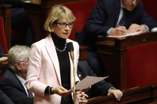 Véronique Louwagie le 28 janvier 2020 à l'Assemblée nationale 