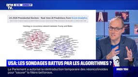 USA: les sondages battus par les algorithmes ? - 05/11