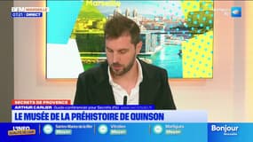 Secrets de Provence: découverte du musée de la préhistoire à Quinson
