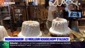 Le meilleur Kougelhopf d'Alsace attire les gourmands à Mommenheim