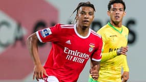 Cher Ndour avec Benfica en octobre 2022