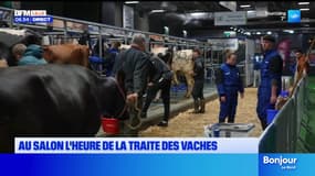 Nettoyage, traite des vaches… les exploitants nordistes s'activent très tôt au salon de l'agriculture