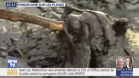 Du pétrole échoué sur des plages de Saint-Tropez