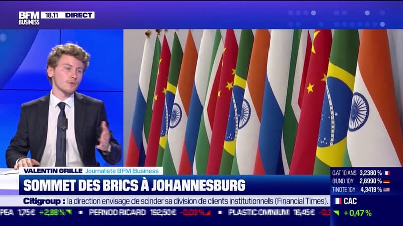 Johannesburg: le sommet des BRICS débute demain