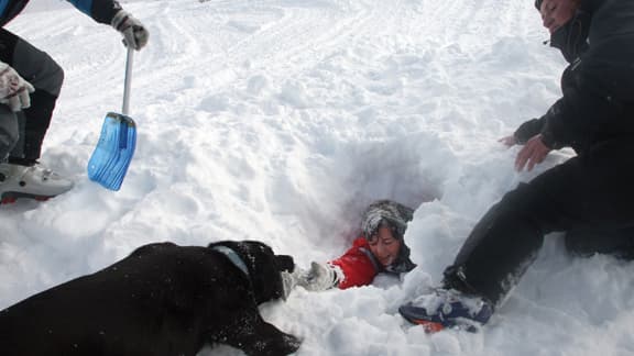 Photo d'archives d'un chien d'avalanche découvrant une personne ensevelie sous la neige, prise le 22 janvier 2009 lors d'une simulation d'accident sur le site de la station de ski du Puigmal dans les Pyrénées-Orientales.
