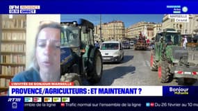 "Ça ne va pas nous soulager": des dernières annonces décevantes pour les agriculteurs des Bouches-du-Rhône