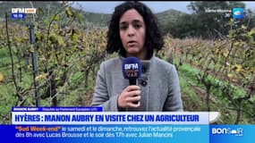 Manon Aubry, députée au parlement européen (LFI), était en visite chez un agriculteur du département pour défendre "le modèle agricole" varois