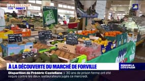 Cannes: à la découverte du marché de Forville