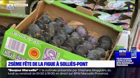 Var: la 25e édition de la Fête de la figue à Solliès-Pont