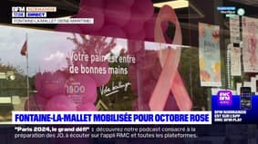 Seine-Maritime: Fontaine-la-Mallet mobilisée pour octobre rose