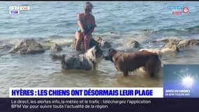 Hyères: une plage réservée aux chiens