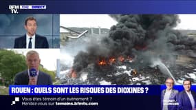 Incendie de l'usine Lubrizol à Rouen: quels sont les risques des dioxines ? - 04/10