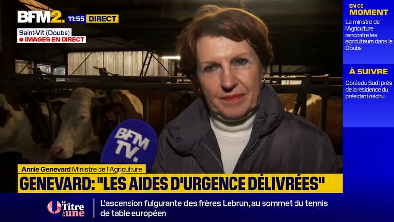 La ministre de l'Agriculture confirme le calendrier des aides financières pour les agriculteurs