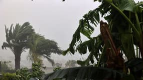 Des vents très forts lors du passage du cyclone Belal, à La Possession, sur l'île de La Réunion, le 15 janvier 2024.